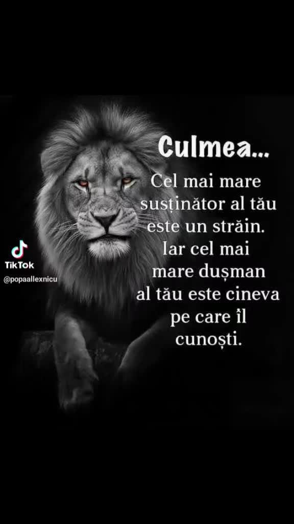 @singura a nimanui!