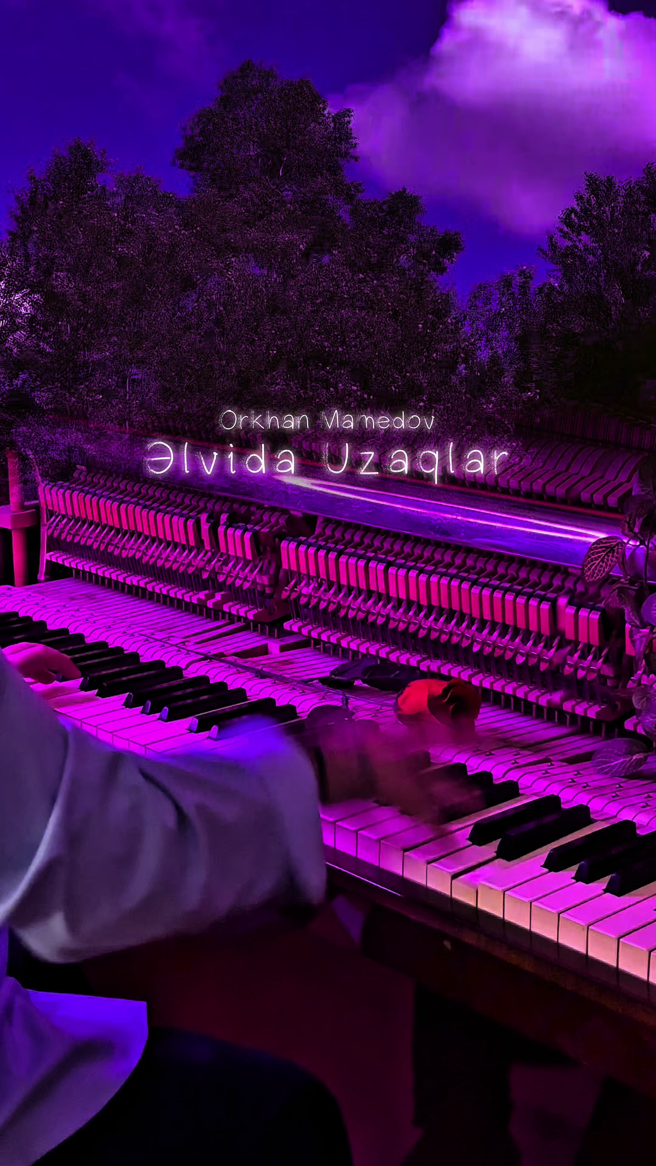 @𝙋𝙞𝙖𝙣𝙤 𝙗𝙮 𝙈𝙖𝙢𝙚𝙙𝙤𝙫