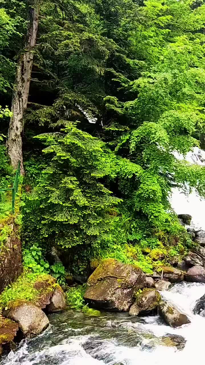 @salud62🦋✨🦋