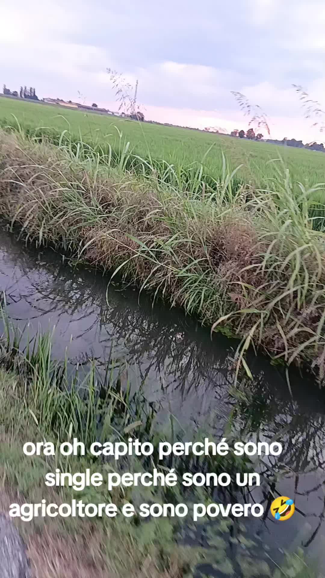 @Nico Agricoltura 🚜