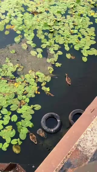 @Татьяна Татьяна