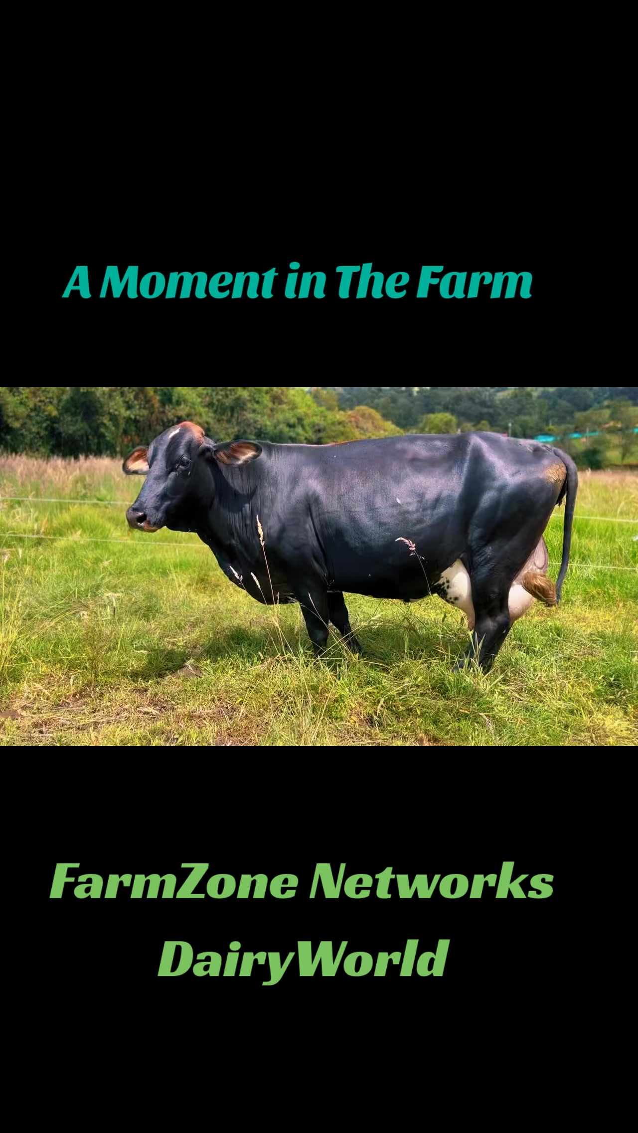 @FarmZone Networks&trade;