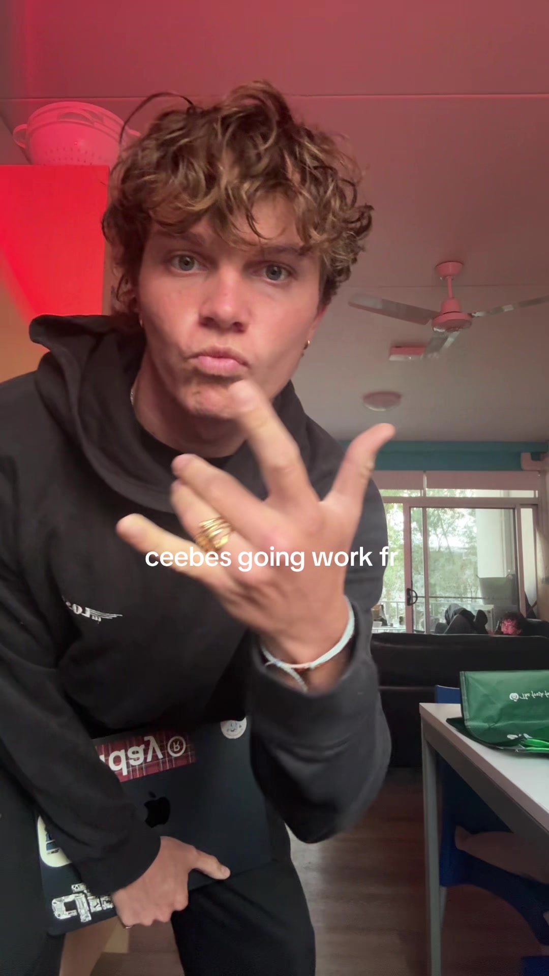 @secretgoose