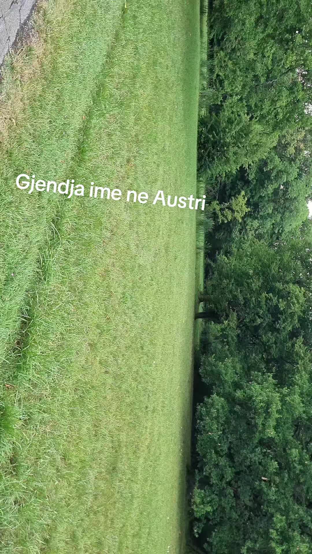 @Albi