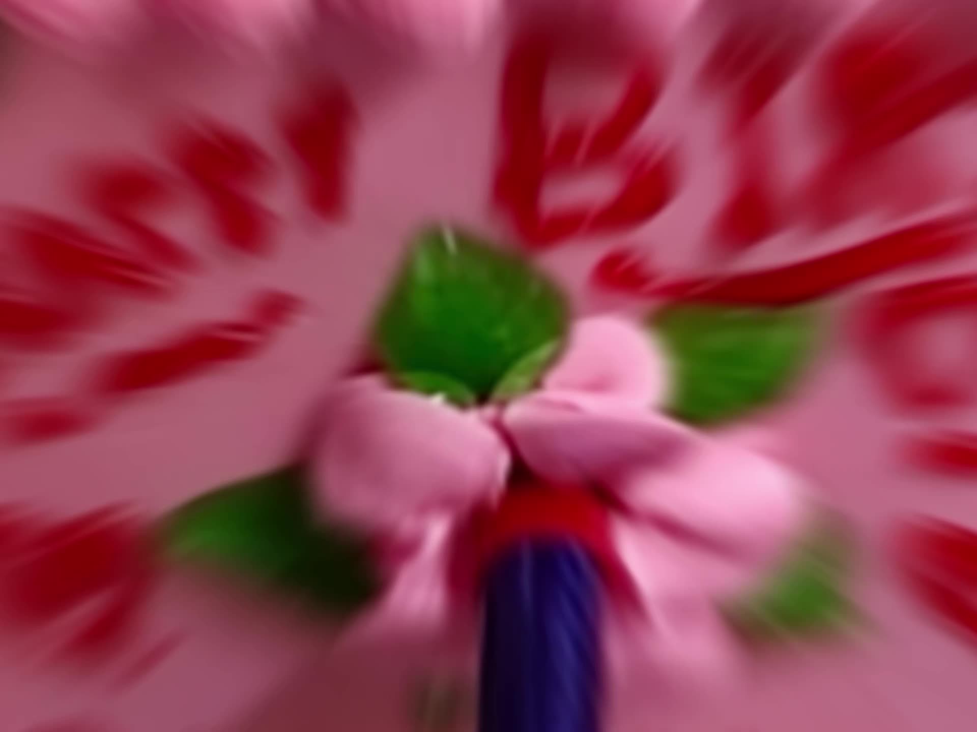 @Sahil Ayaz