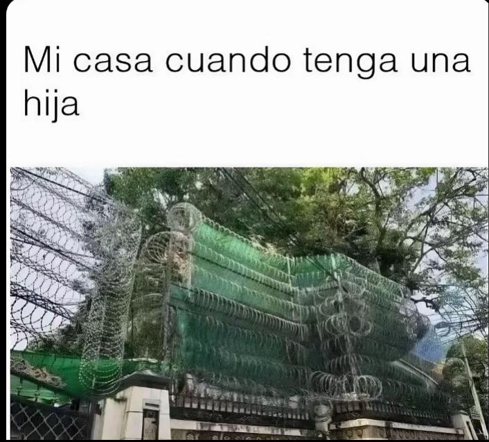 @Gonz&aacute;lez Ariel