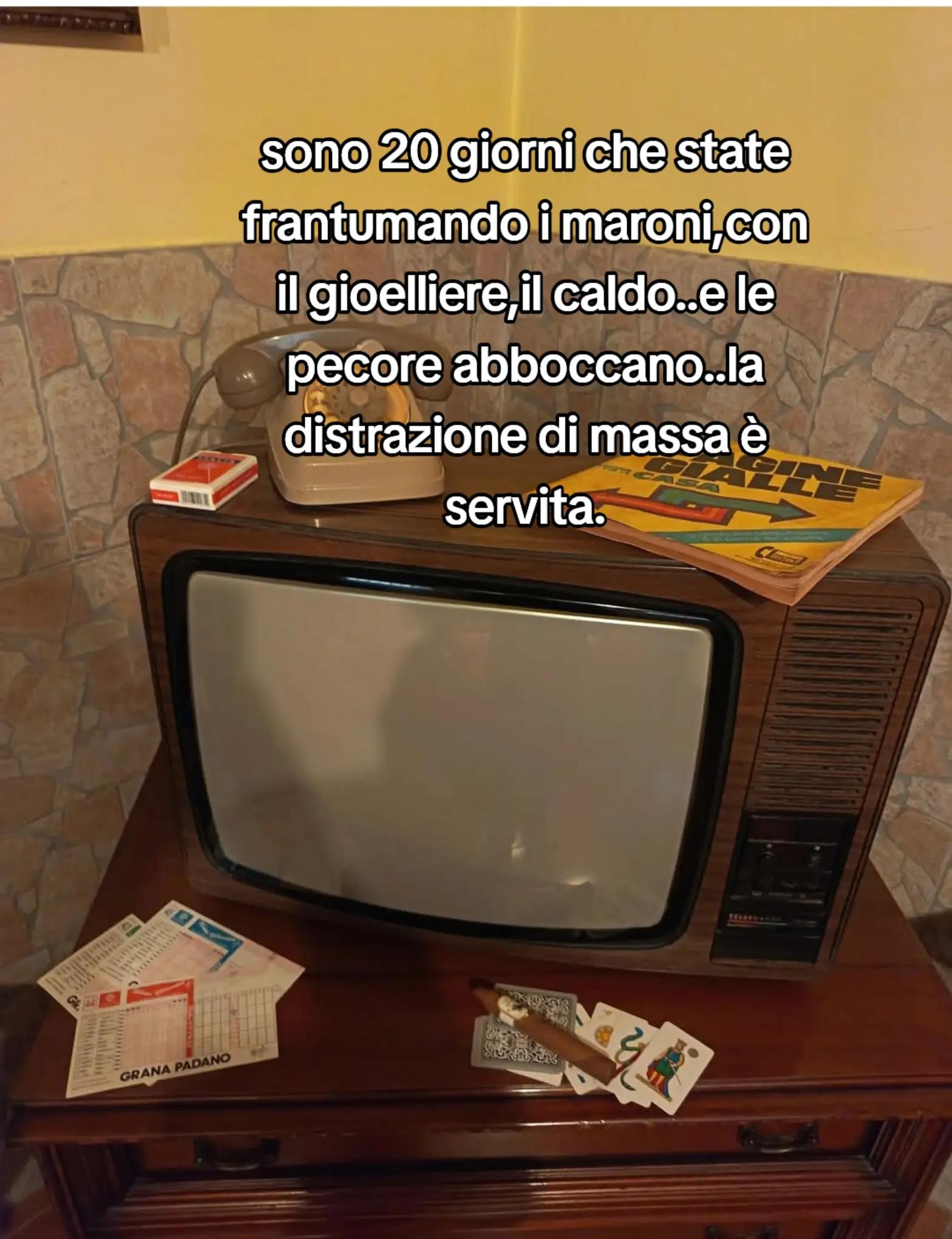 @ciropugliese379