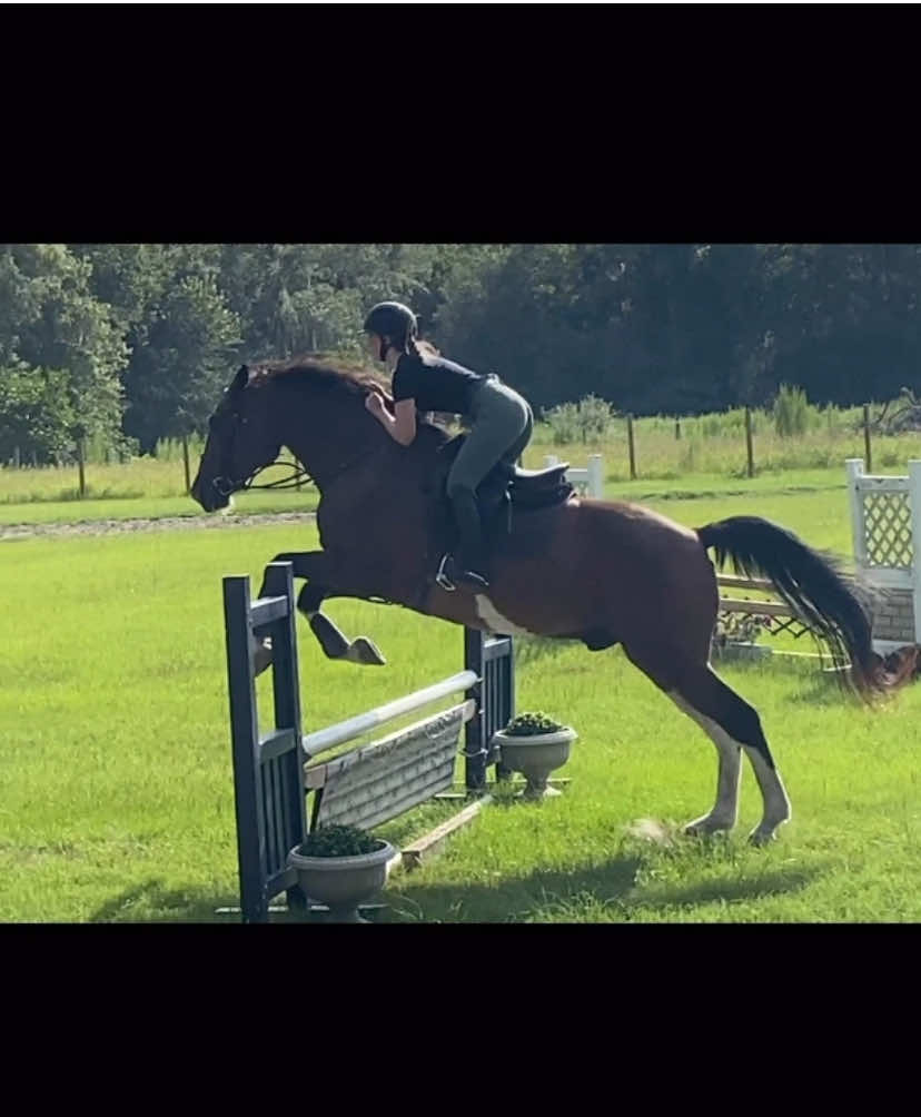 @.ktm.equestrian