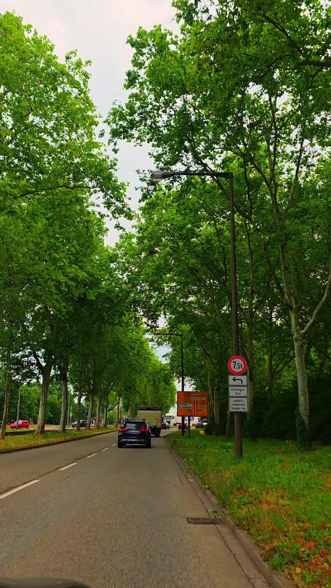 @Blume