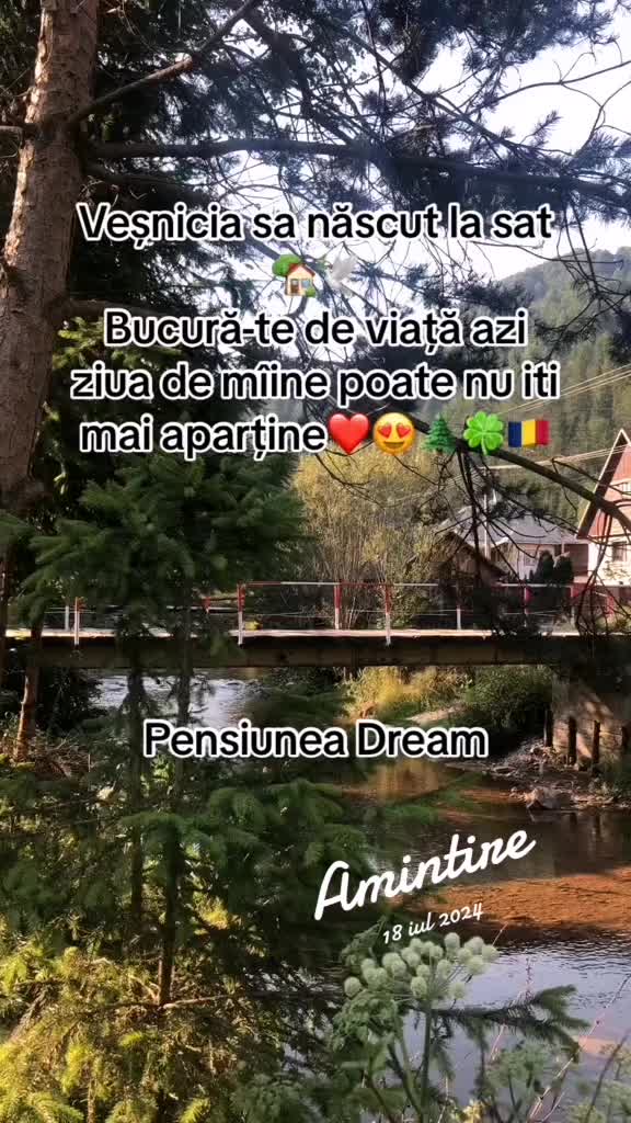 @Pensiunea Dream