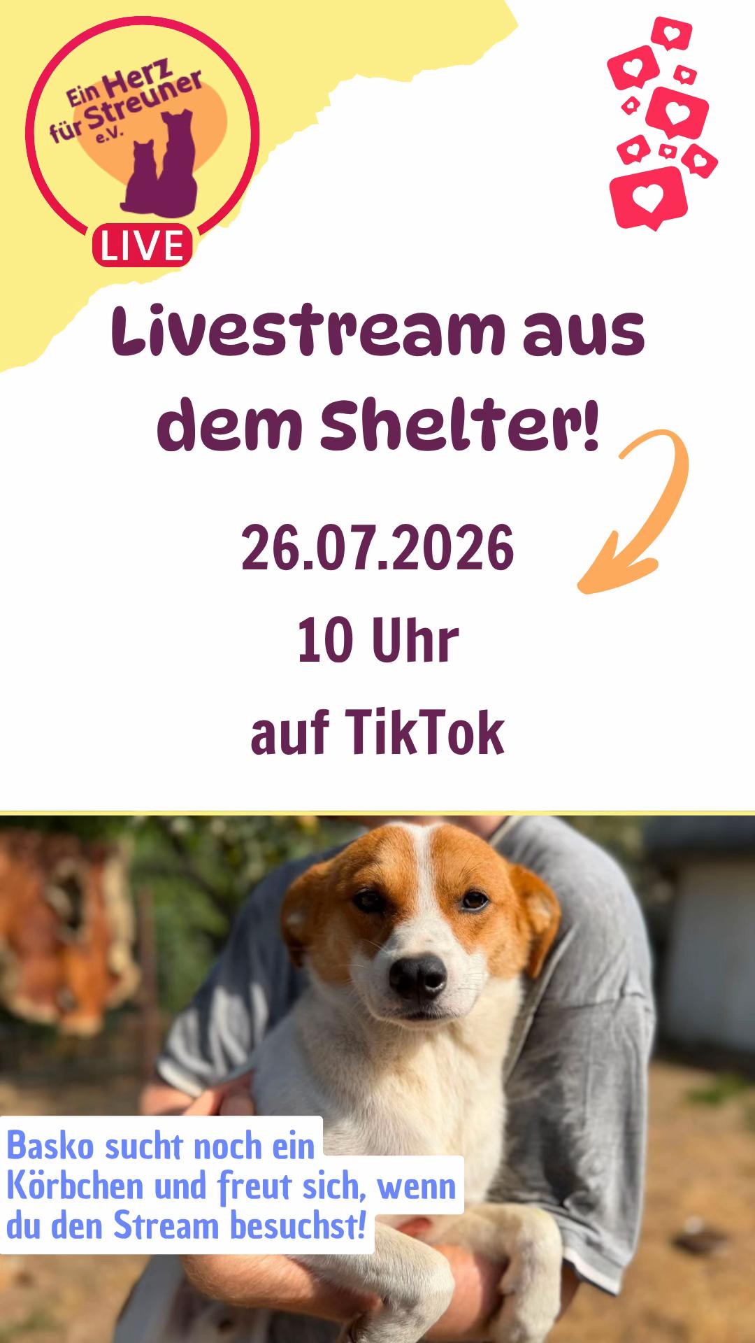 @Ein Herz f&uuml;r Streuner e.V.