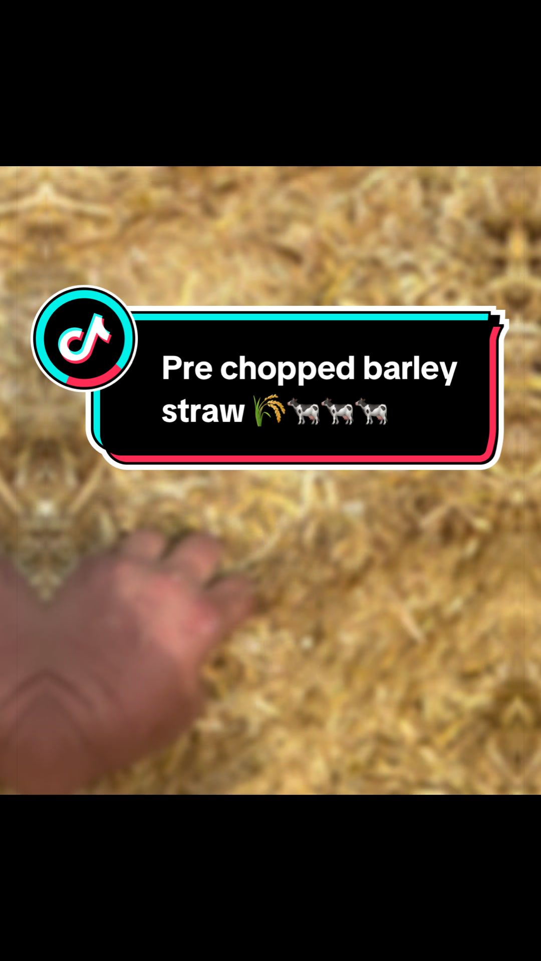 @Let&rsquo;s farm Ireland
