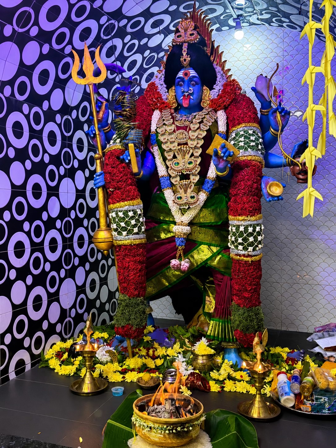 @பா.காவியா 🪷🤍