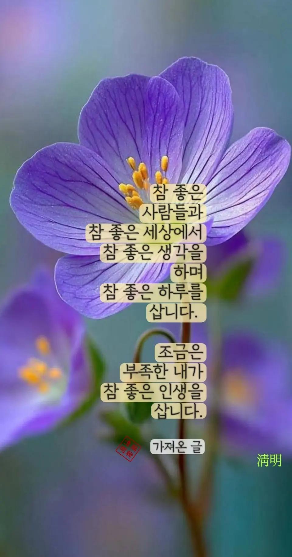 @시인/이정범(淸明)