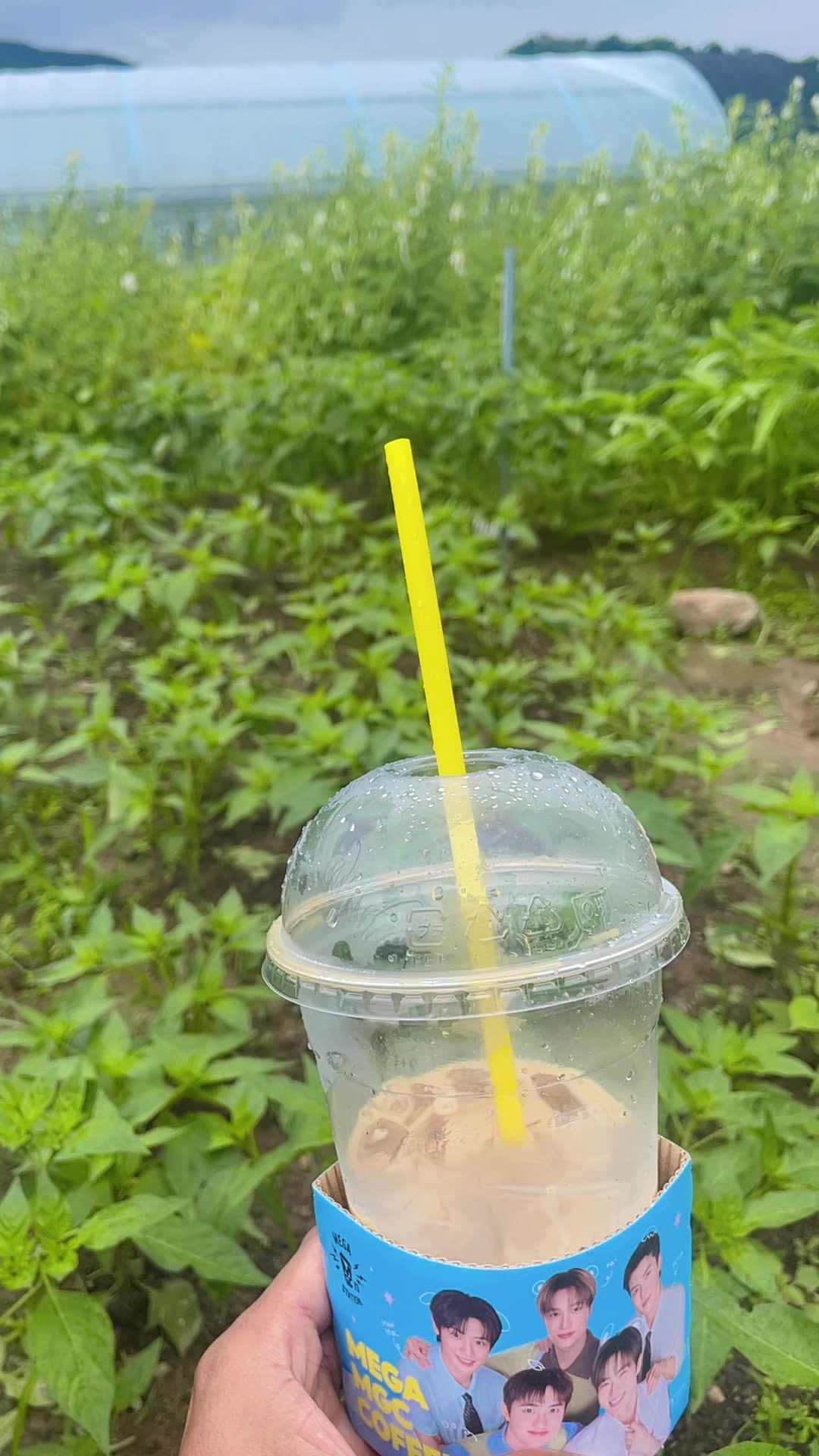 @thasothinថាធីន