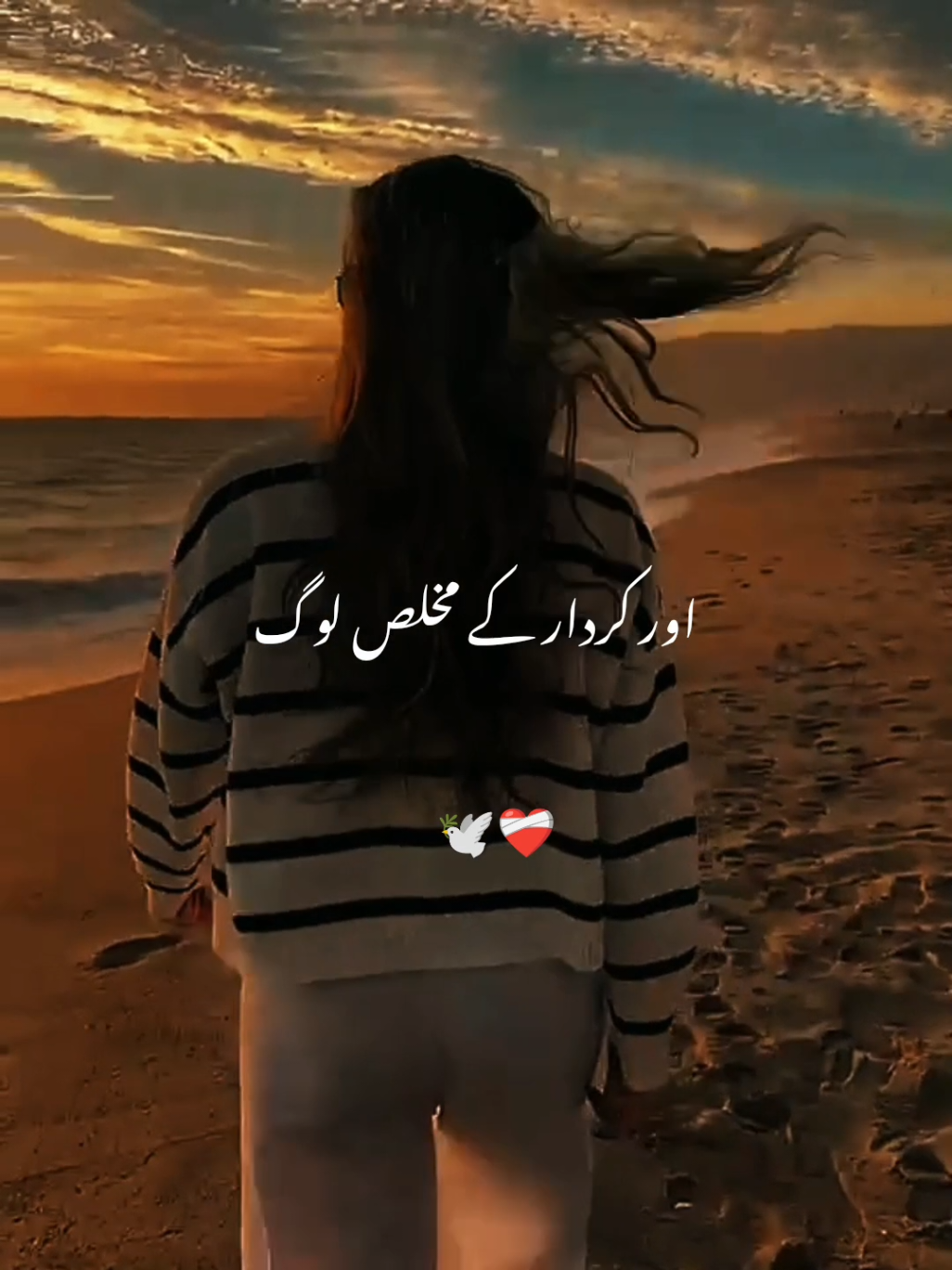 @🕊