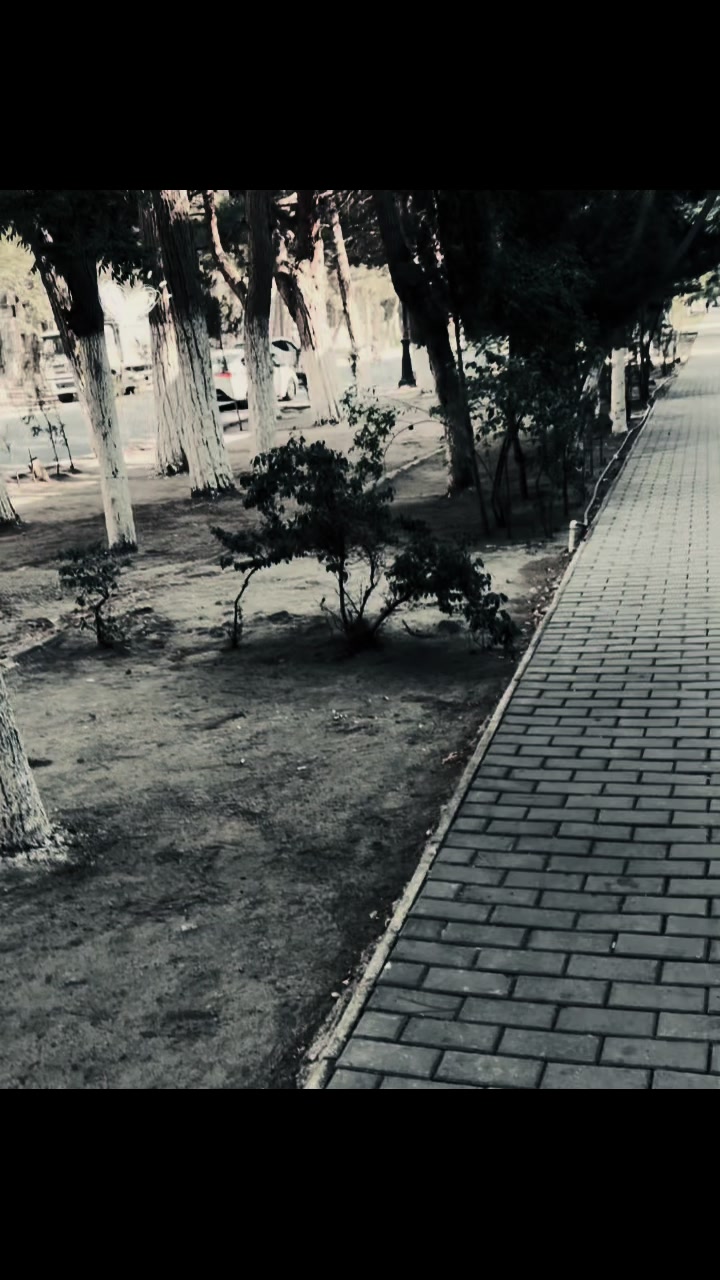 @⚜️039⚜️