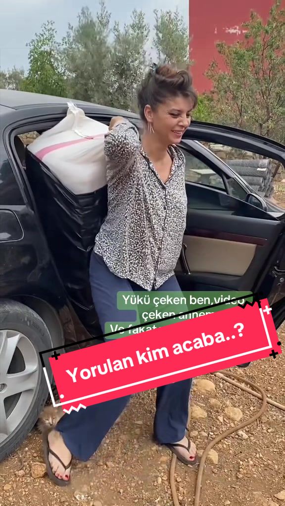 @Dani