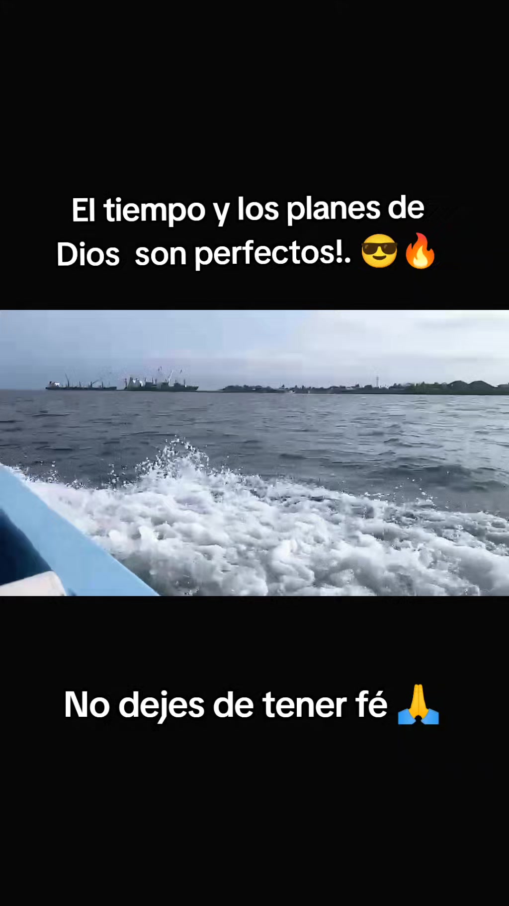 @tigre_502