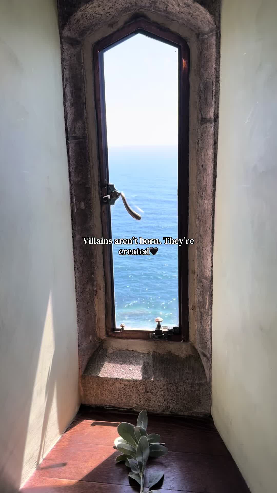 @&bull;𝒮𝒽𝒶𝓎🦋