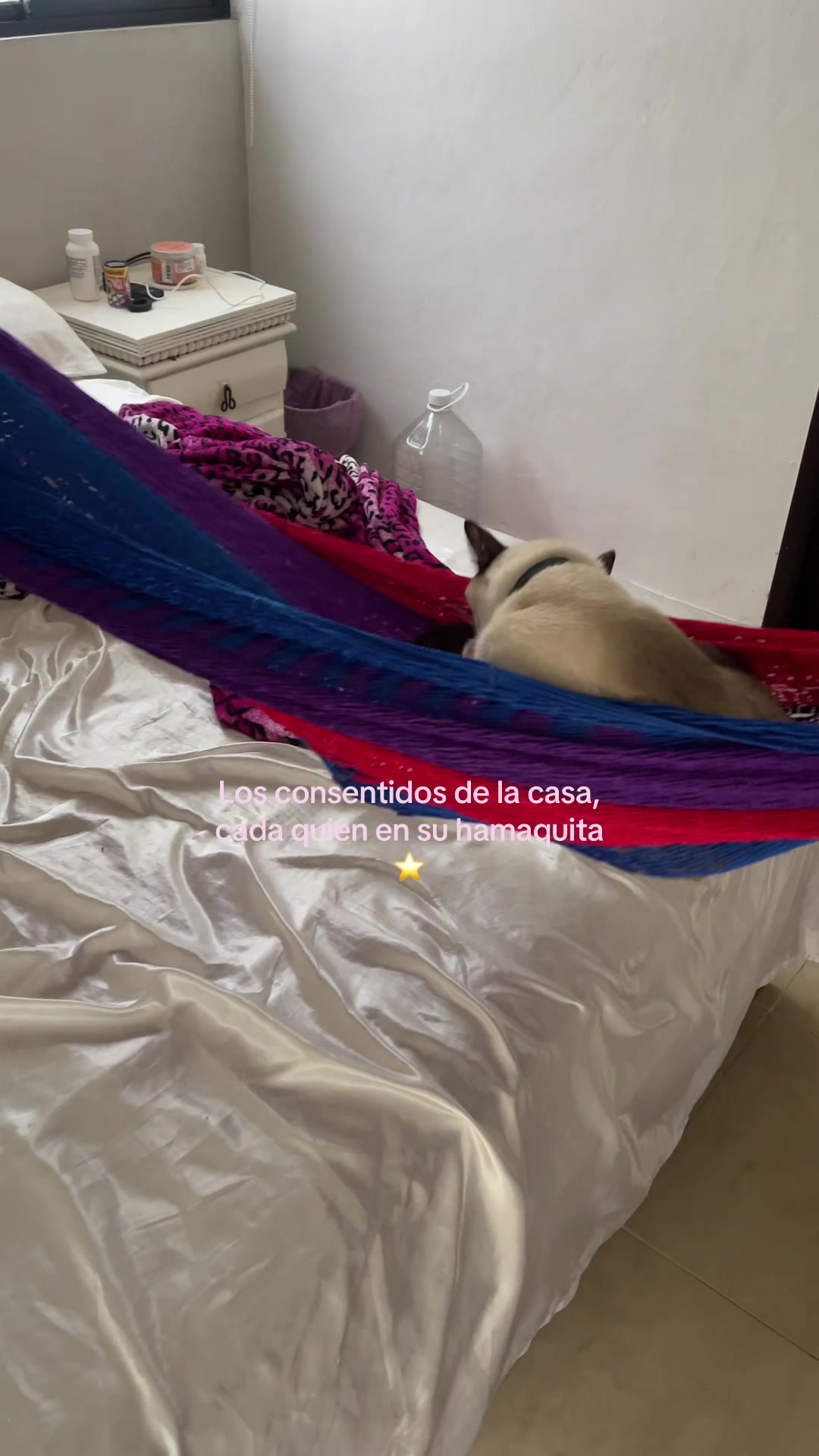 @Hermanitos siameses