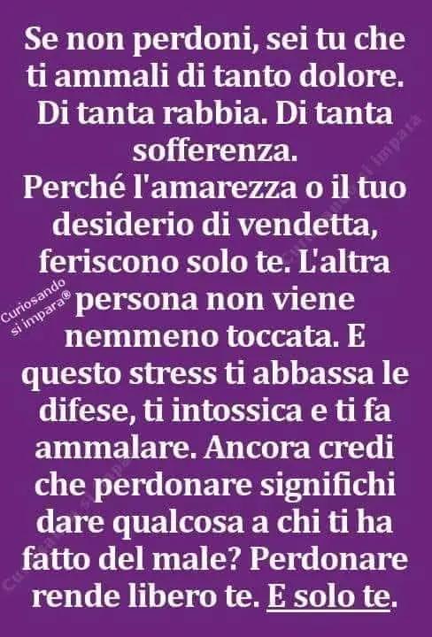 @rosariamoio329