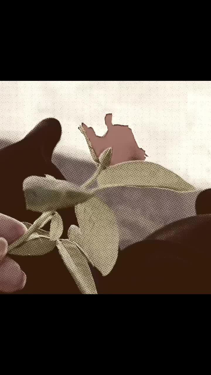 @رفيعة الذوووق
