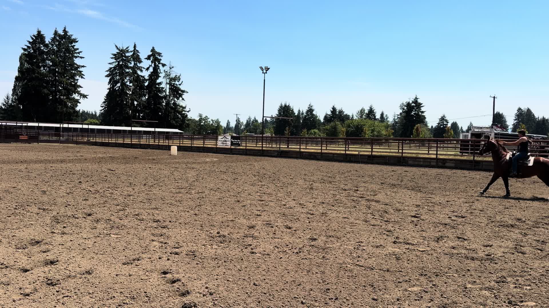 @TF Performance Horses