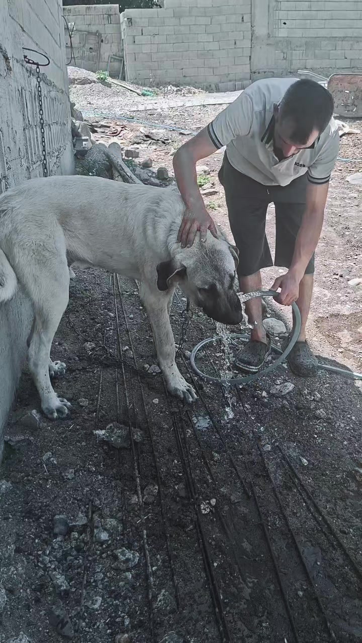 @ali &ccedil;ınar