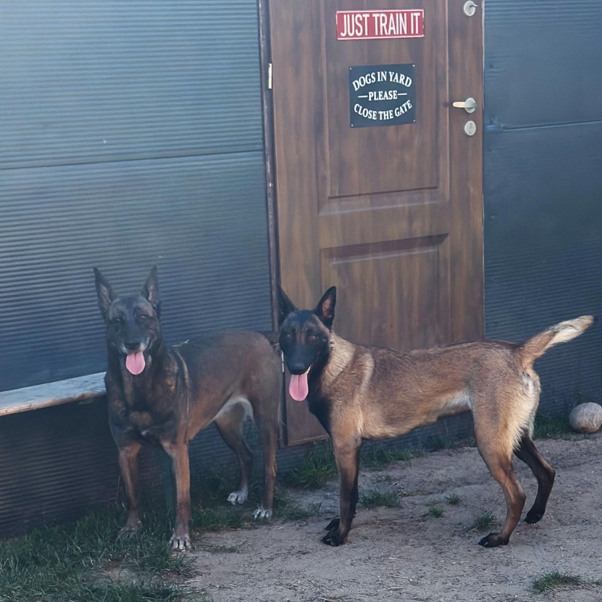 @k9spartan