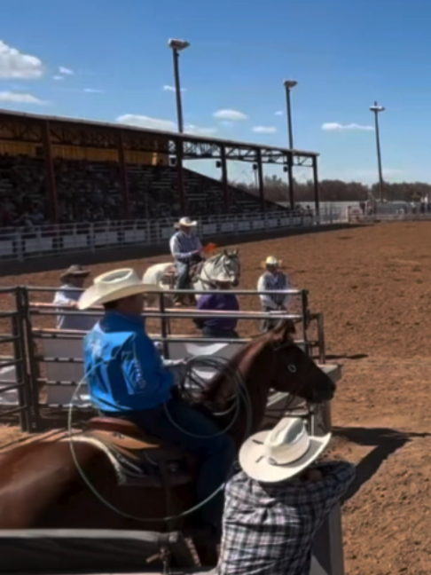 @Team Roping Brasil