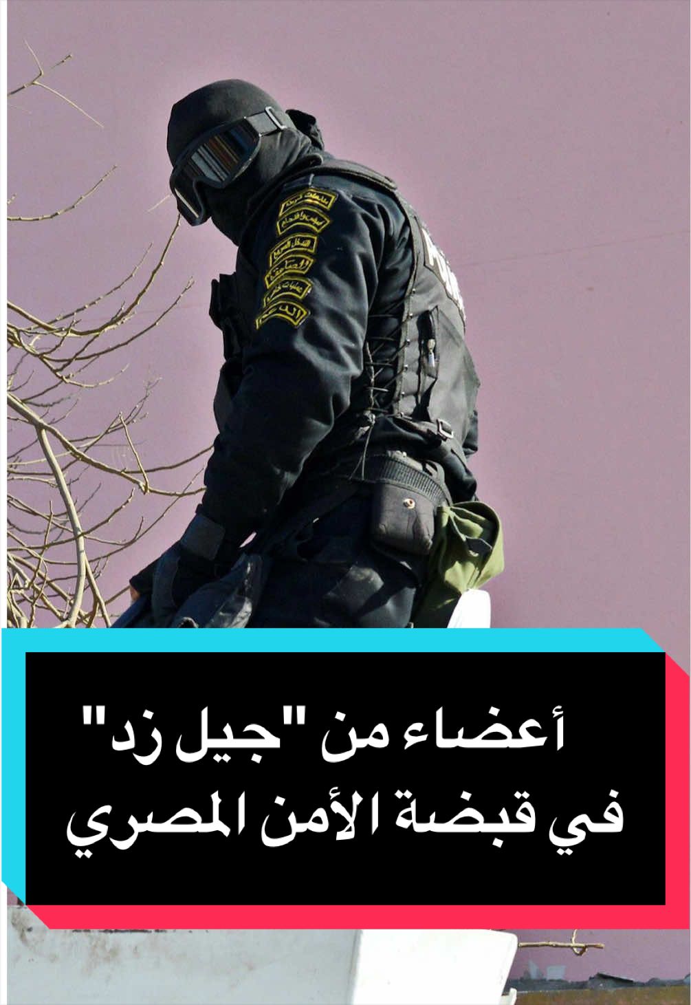 @عربية DW