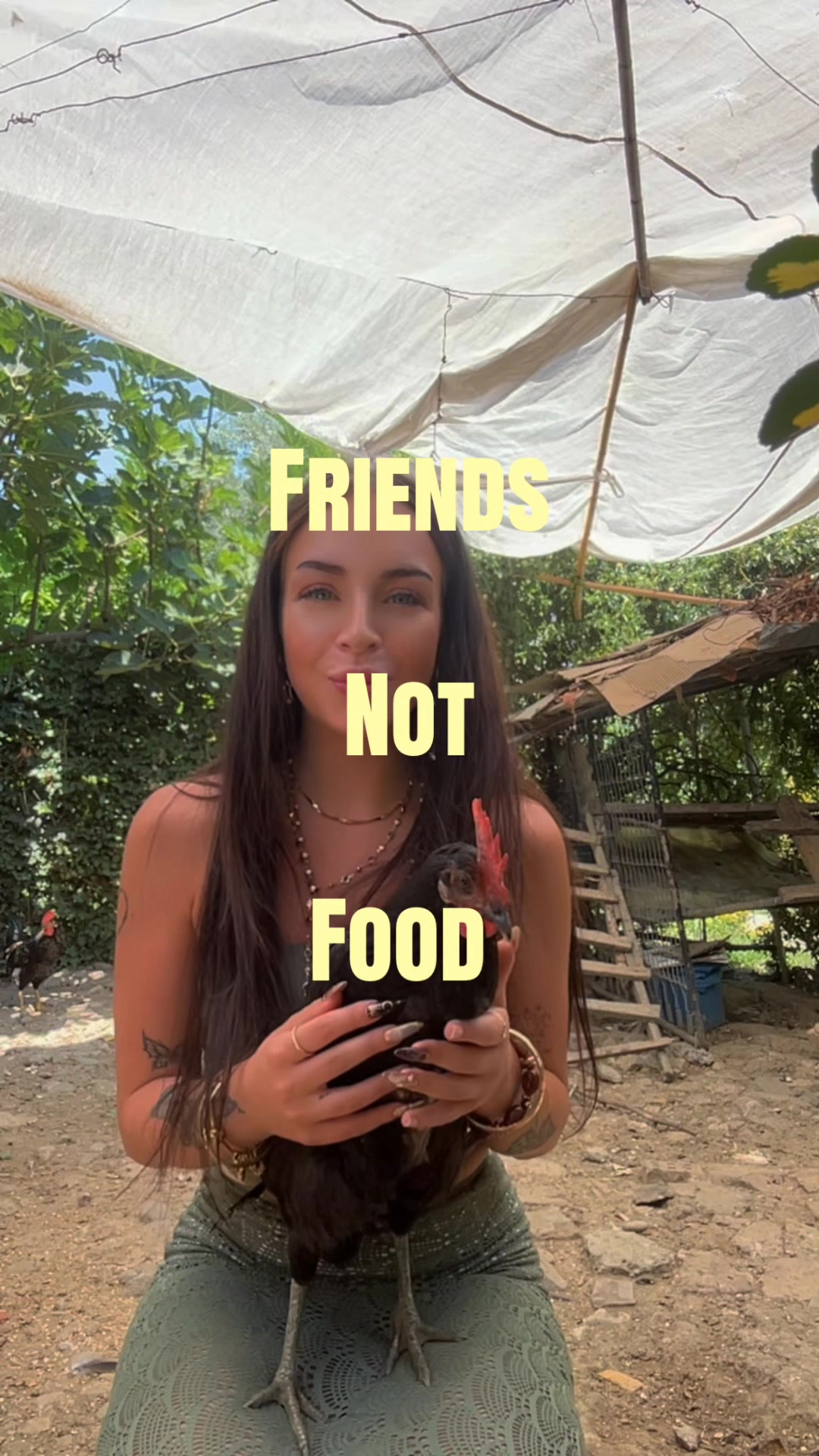 @𝐋𝐢𝐬𝐢🤍🏹