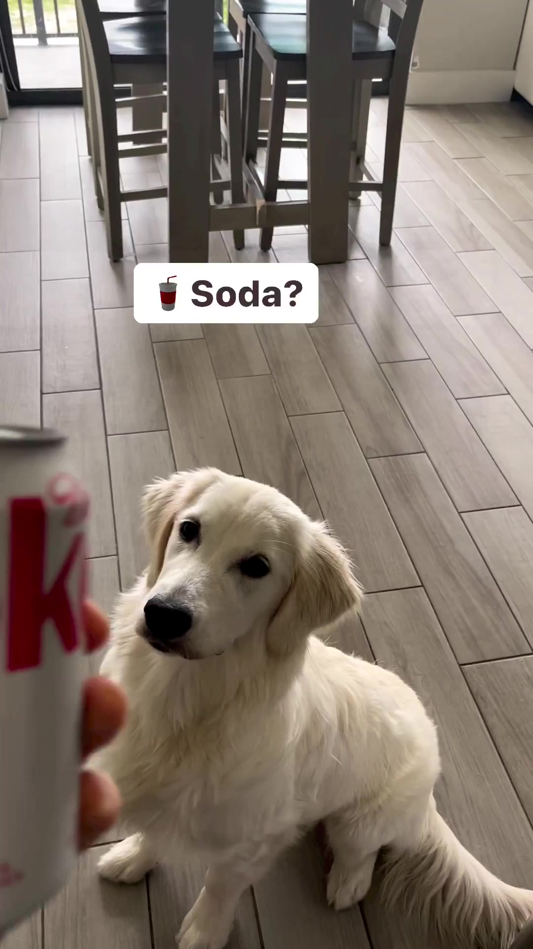 @PetFitness