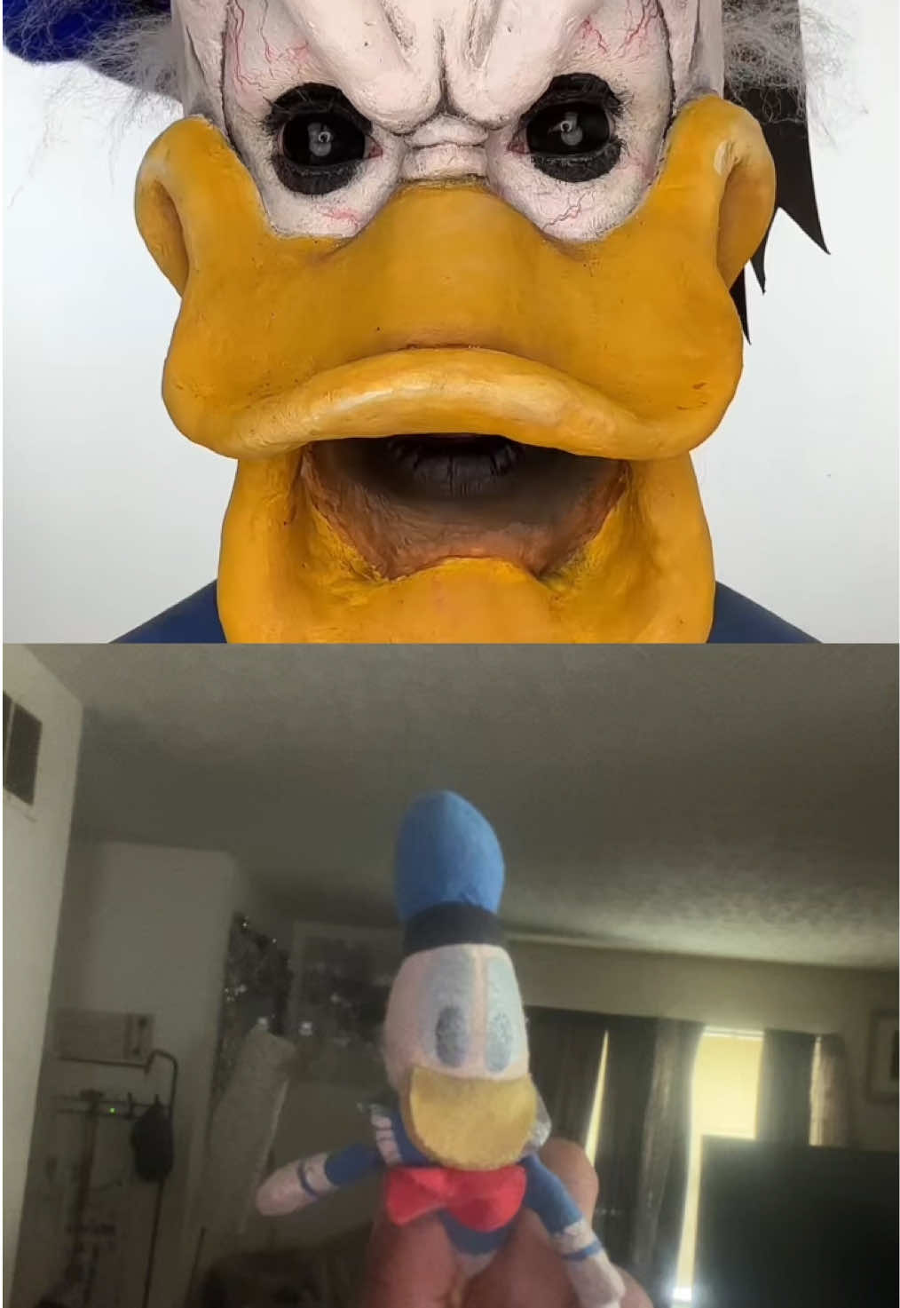 @Donald Duck