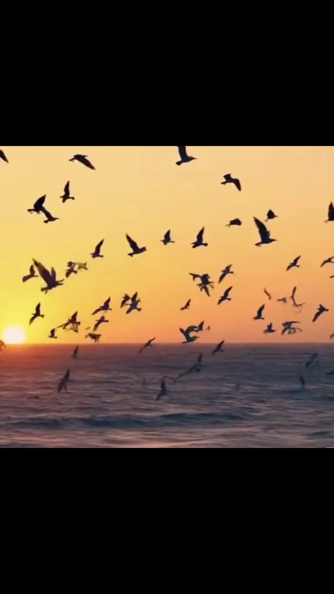 @𝐾𝐸𝐼𝑅𝑂🇵🇱👑🔊🇩🇪