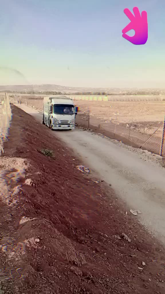 @موسى بلوشي