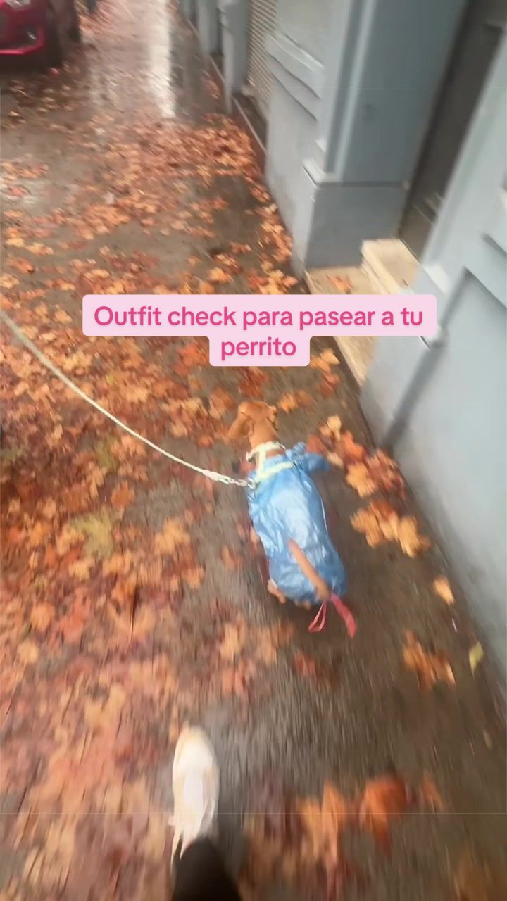 @Aquisoyfran