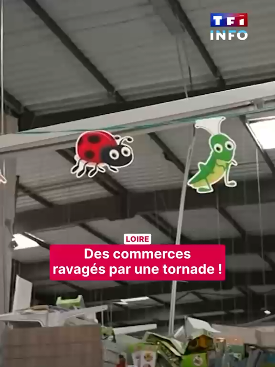 @TF1 INFO
