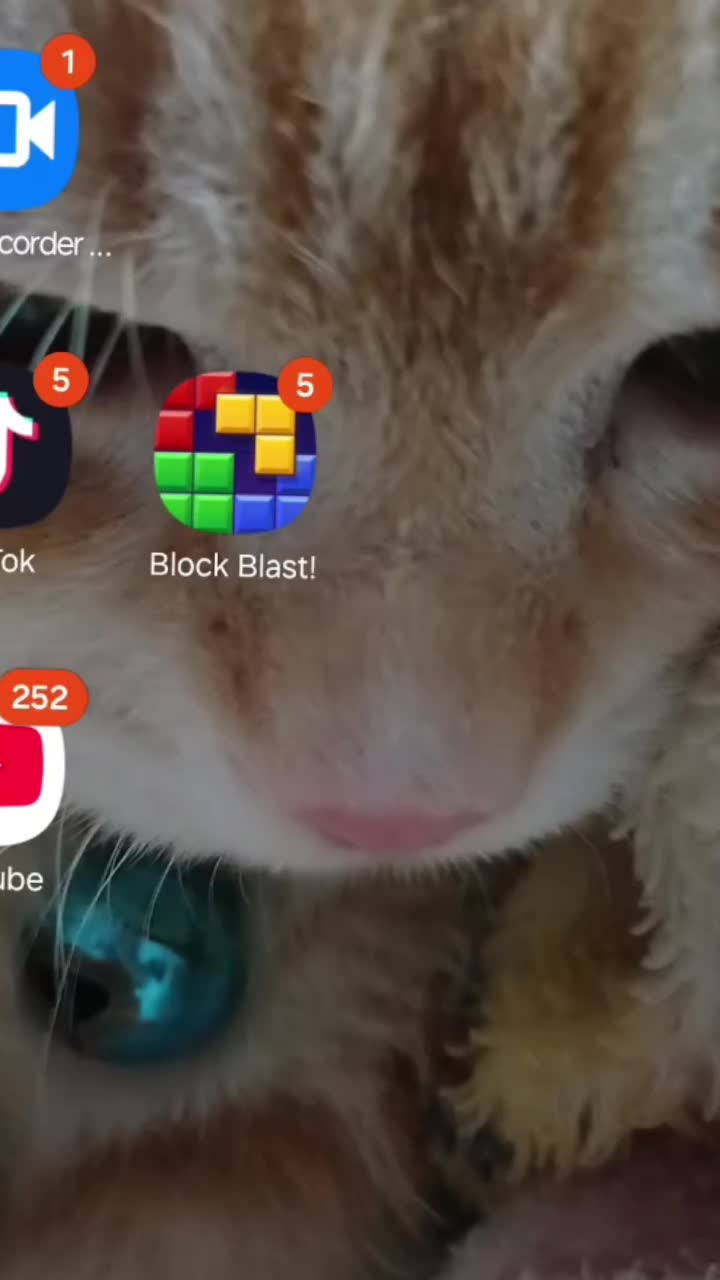 @♡~♧☆♤💯