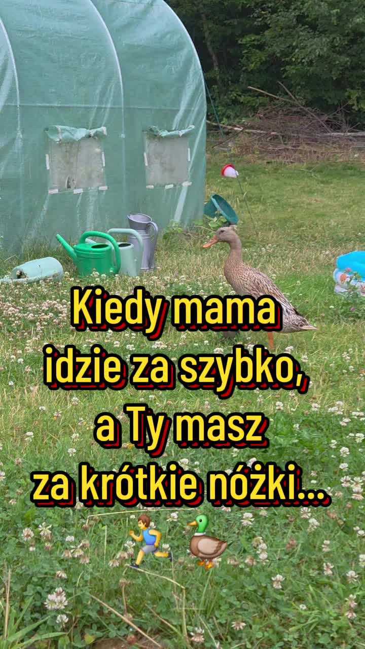@@Kilarski.Prime