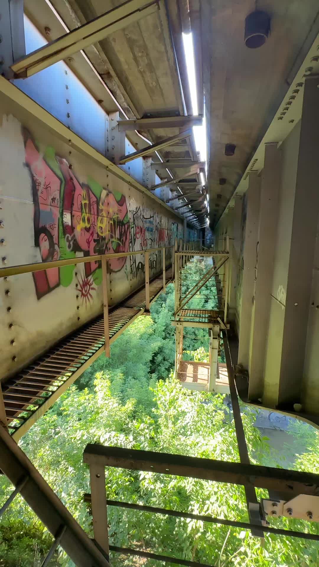 @引き籠もり☣︎