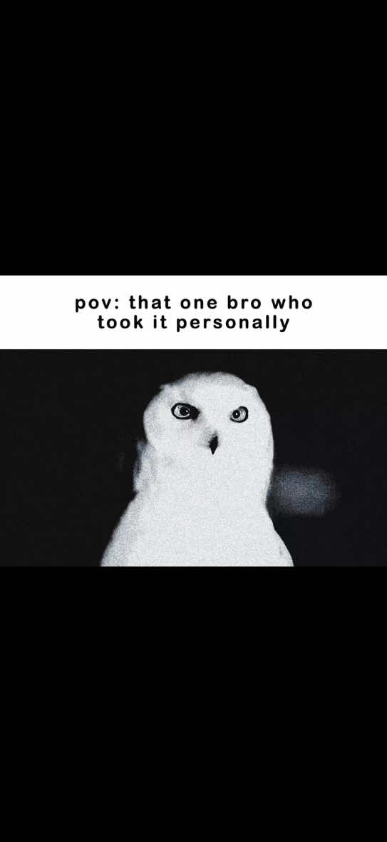 @YKSIN
