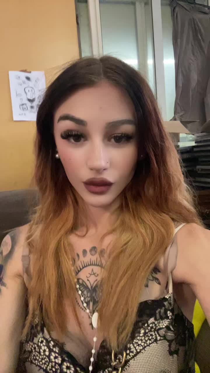@seermoon 💙