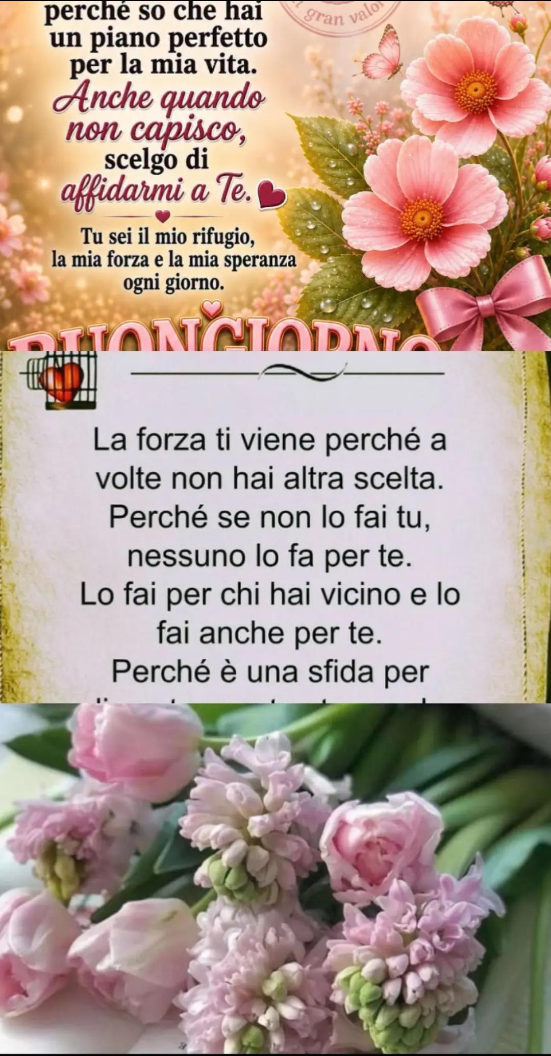 @Donatella Bono