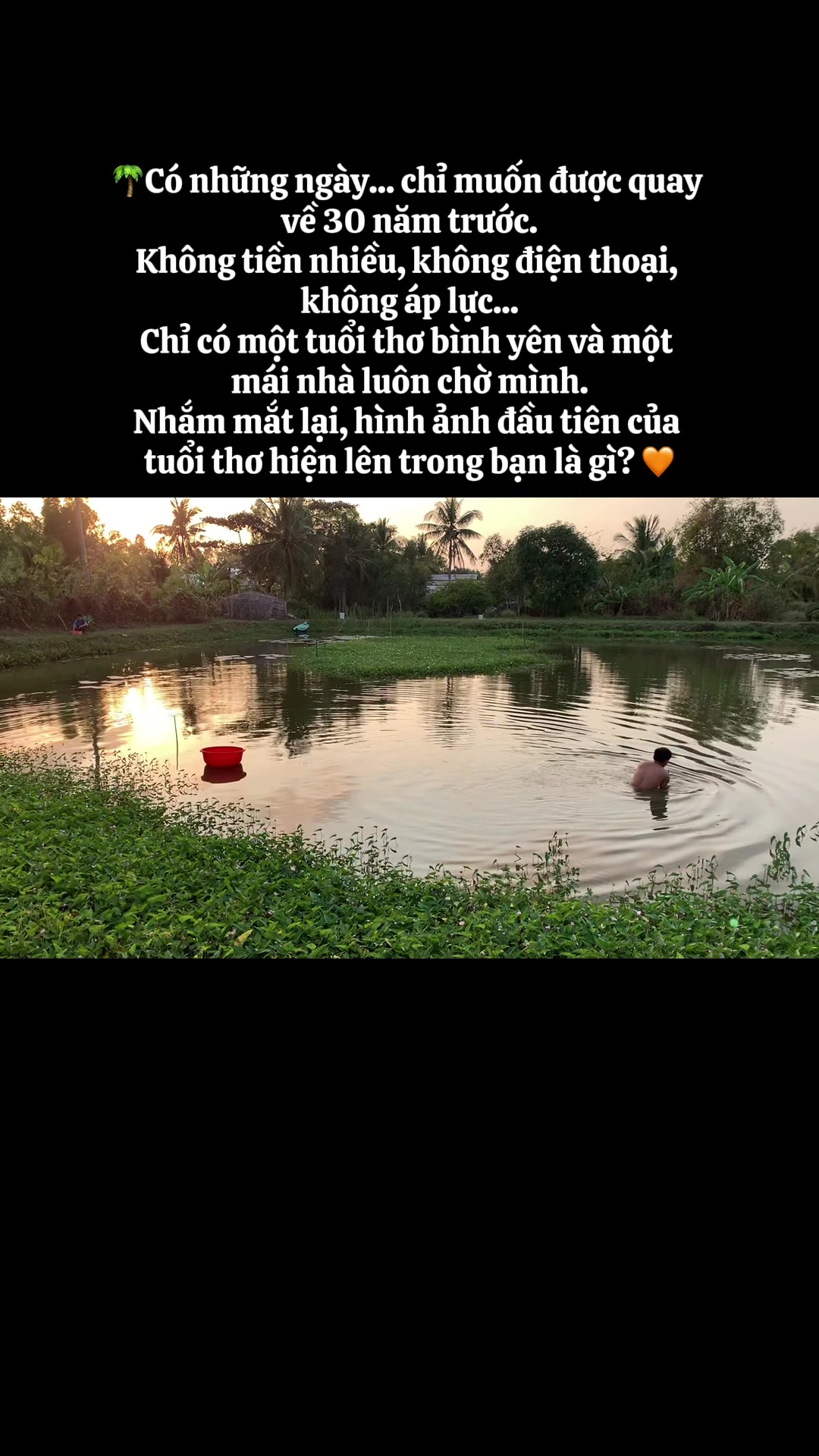 @Dâu Tây 69