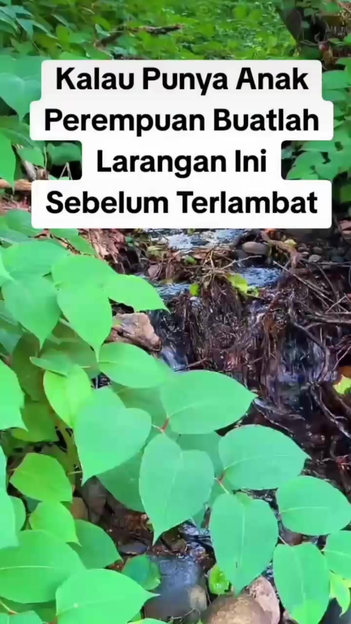 @Asep Wong Cianjur