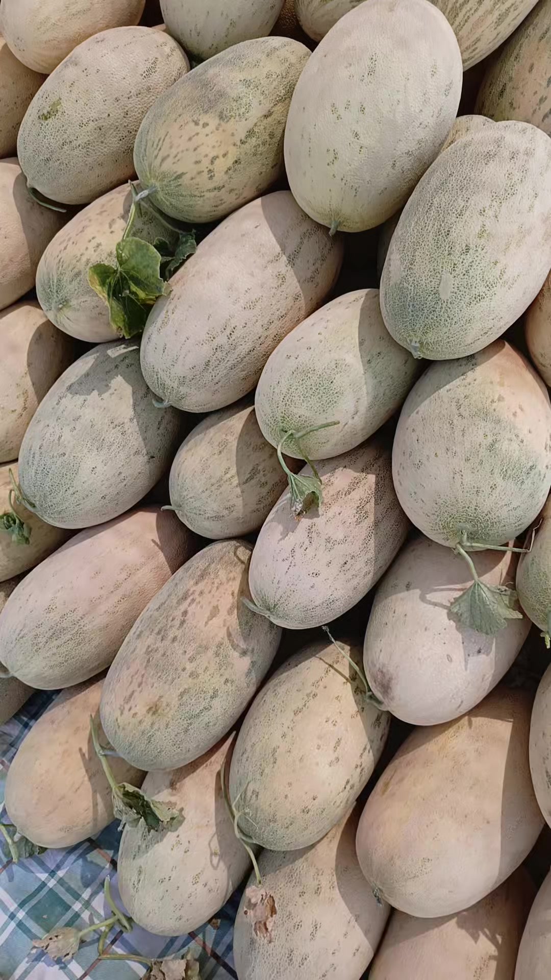 @55555