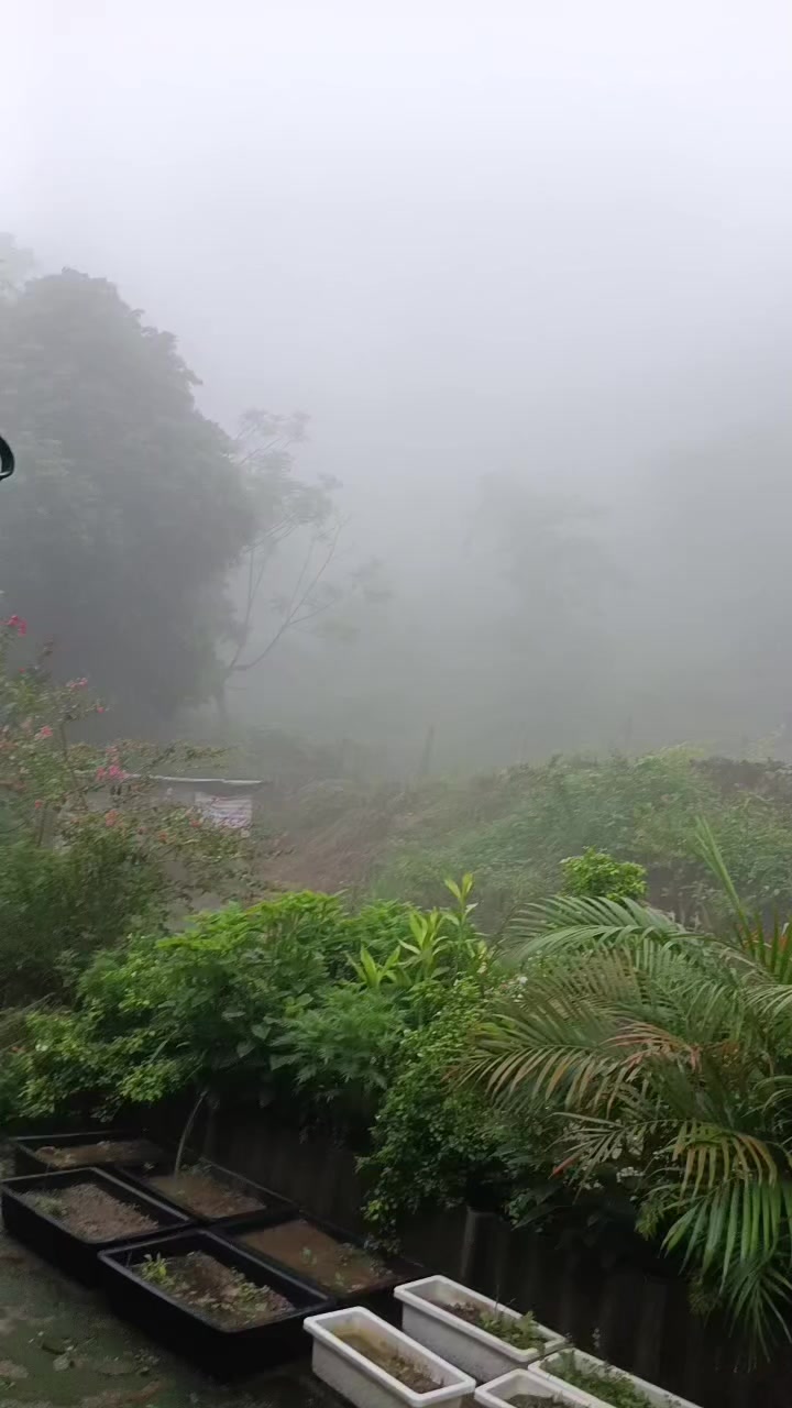 @Nguyễn Thị Hải Yến