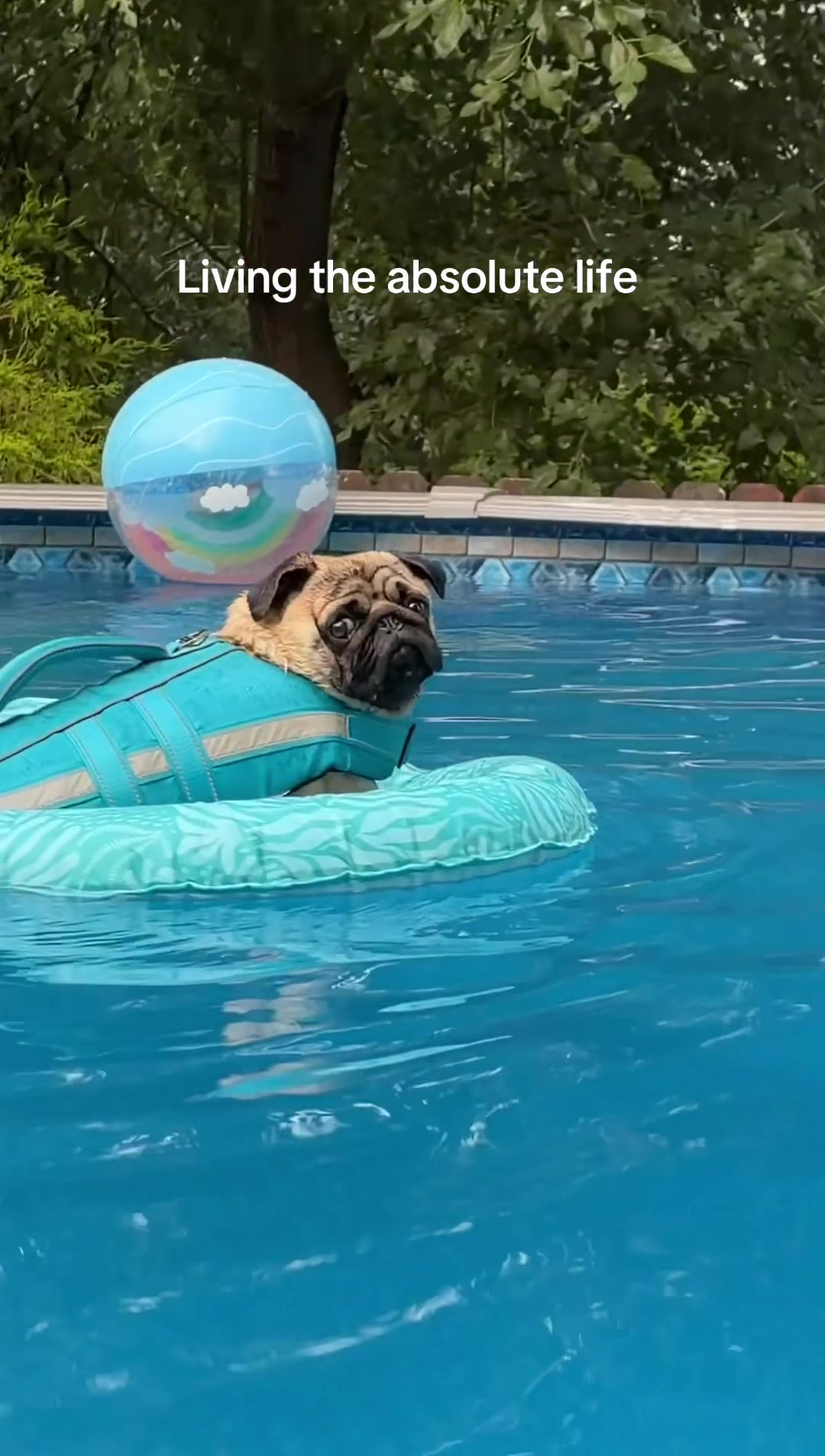 @thewinterpug